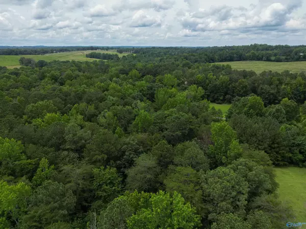 Fort Payne, AL 35967,1 ac County Road 427