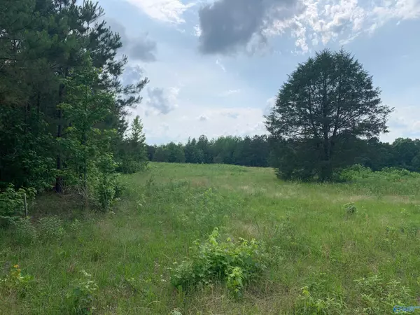 Blountsville, AL 35031,525 Overlook Road