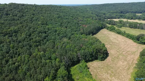 Boaz, AL 35957,104 E Kerri Lane