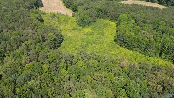 Boaz, AL 35957,104 E Kerri Lane