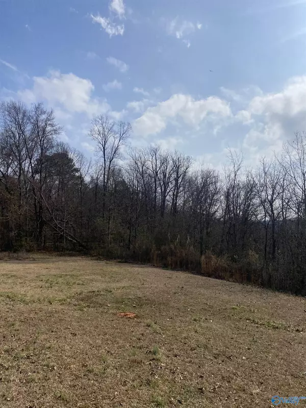 Union Grove, AL 35175,287 Thurman Road