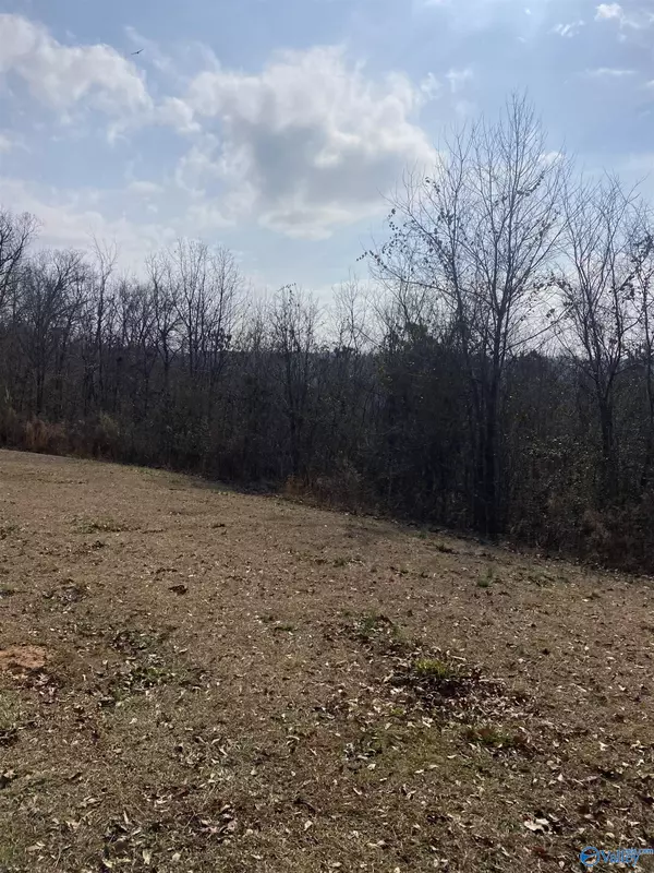 Union Grove, AL 35175,287 Thurman Road