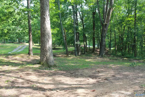 Falkville, AL 35622,654 County Road 1219