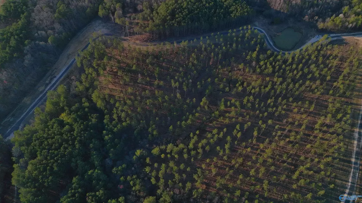 Centre, AL 35960,3.6 Acres County Road 155