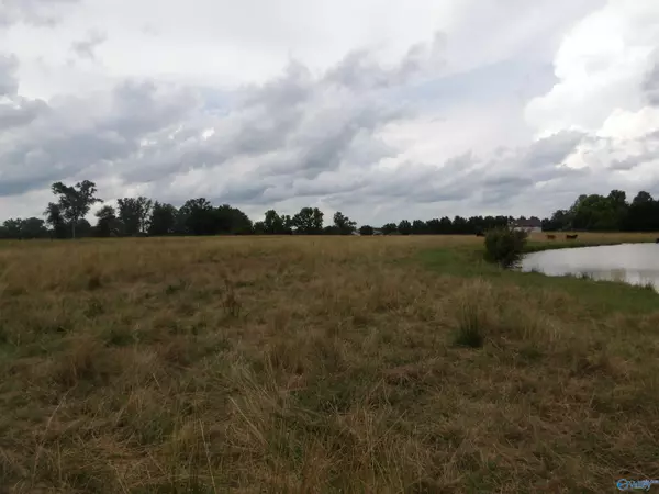 Boaz, AL 35957,10.1 Mount Vernon Road