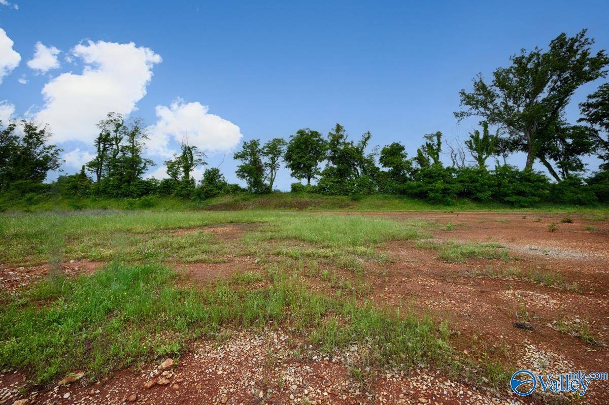 164 Knockash Hill, Madison, AL 35756