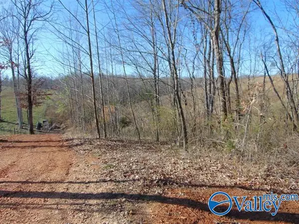 Killen, AL 35645,341 County Road 342