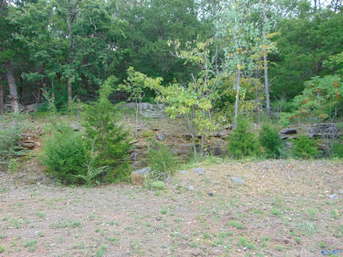 Huntsville, AL 35802,7739 SE Donegal Drive