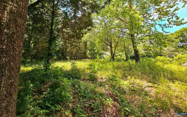 Millport, AL 35576,151 Dowdle Street