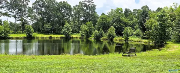 354 County Road 162, Henagar, AL 35978