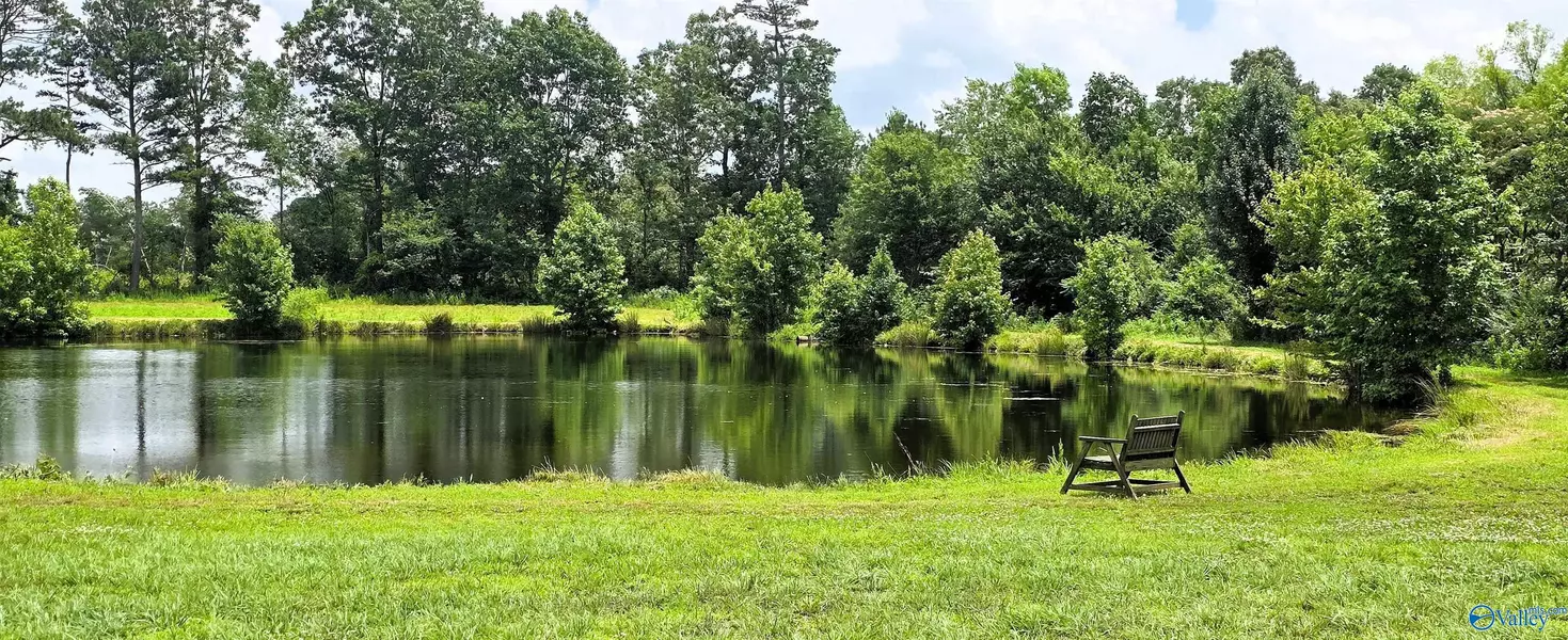 354 County Road 162, Henagar, AL 35978