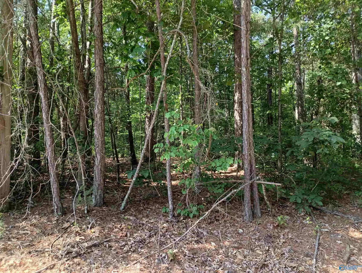 Attalla, AL 35954,1 Arledge Drive