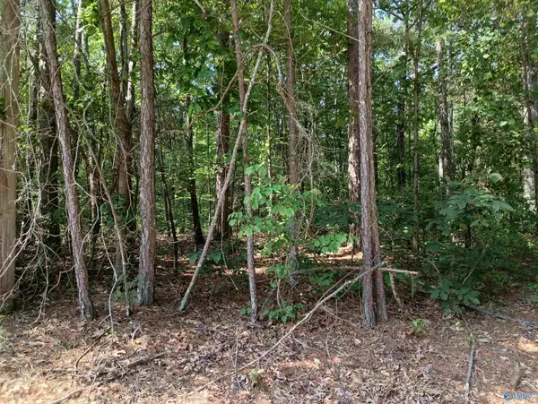 1 Arledge Drive, Attalla, AL 35954