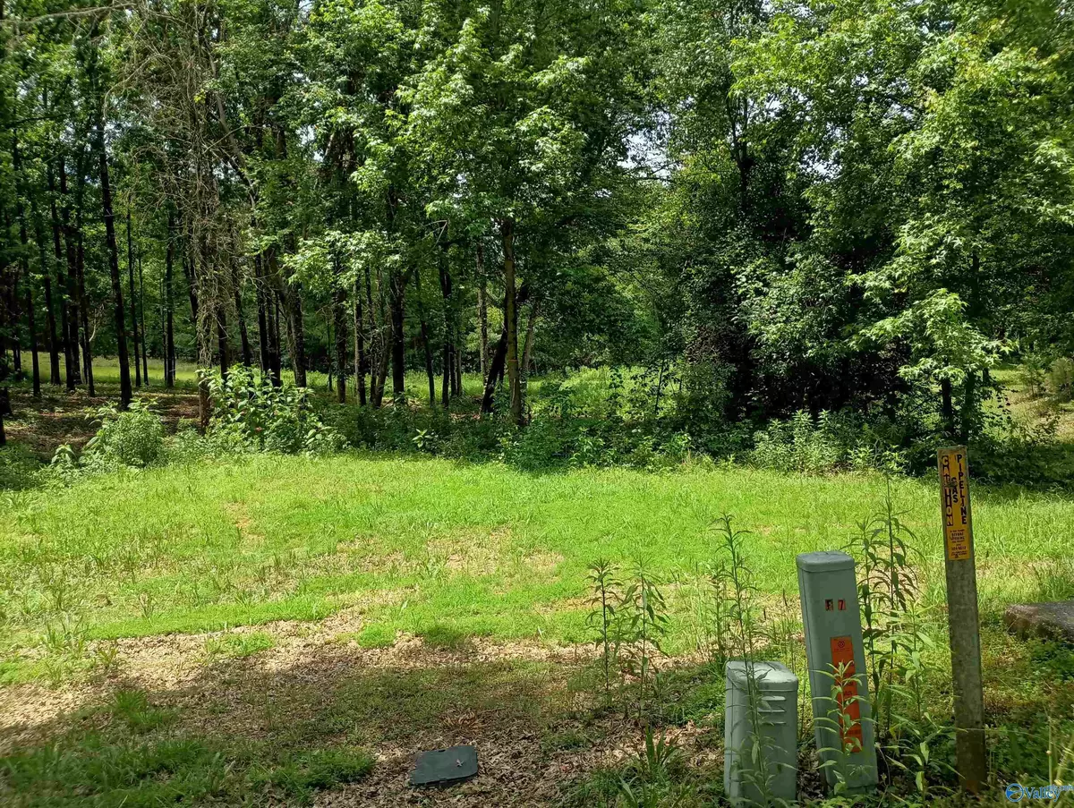 Glencoe, AL 35905,7 Eagles Fair