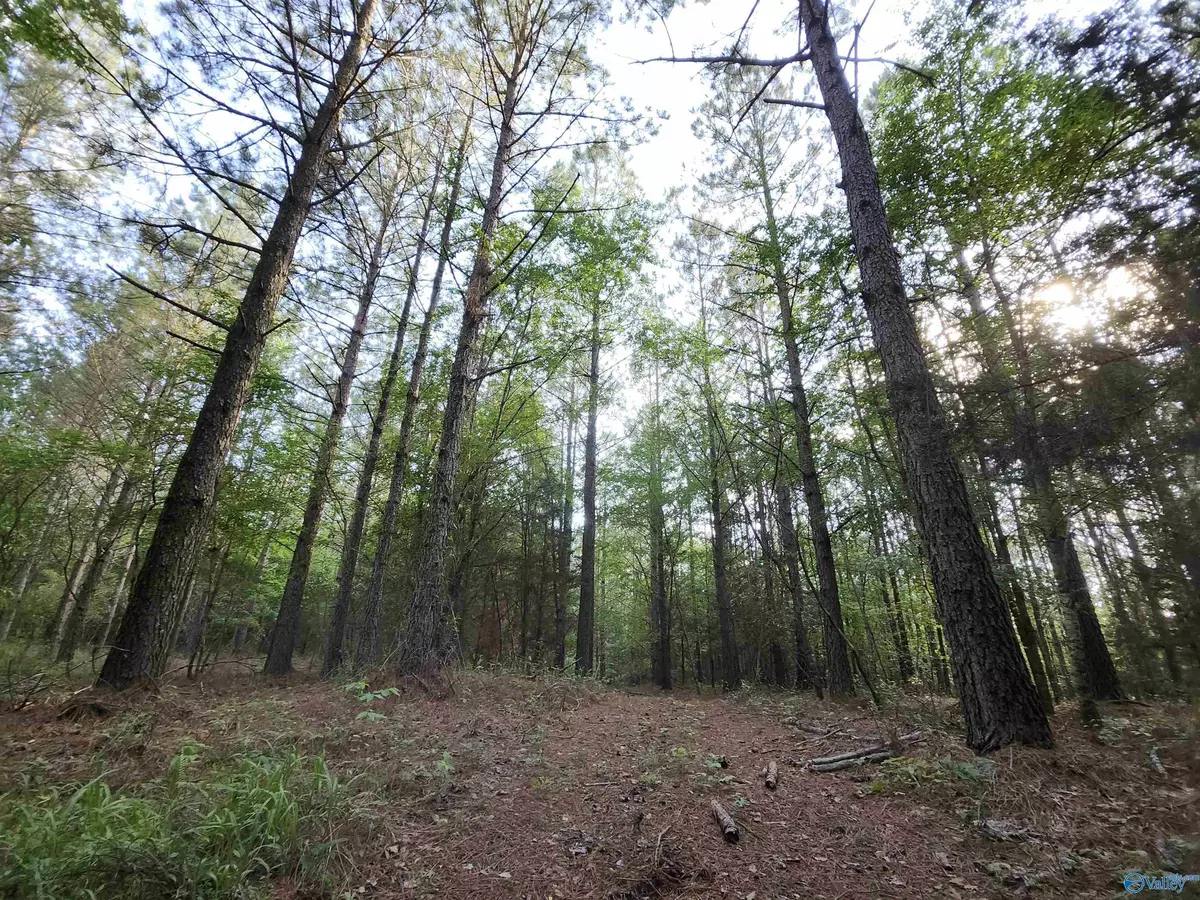 Piedmont, AL 36272,6926 County Road 29