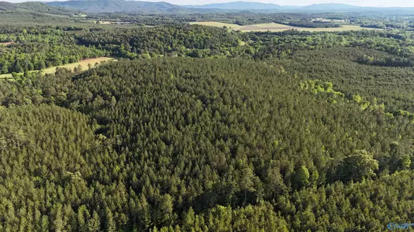 Piedmont, AL 36272,6926 County Road 29