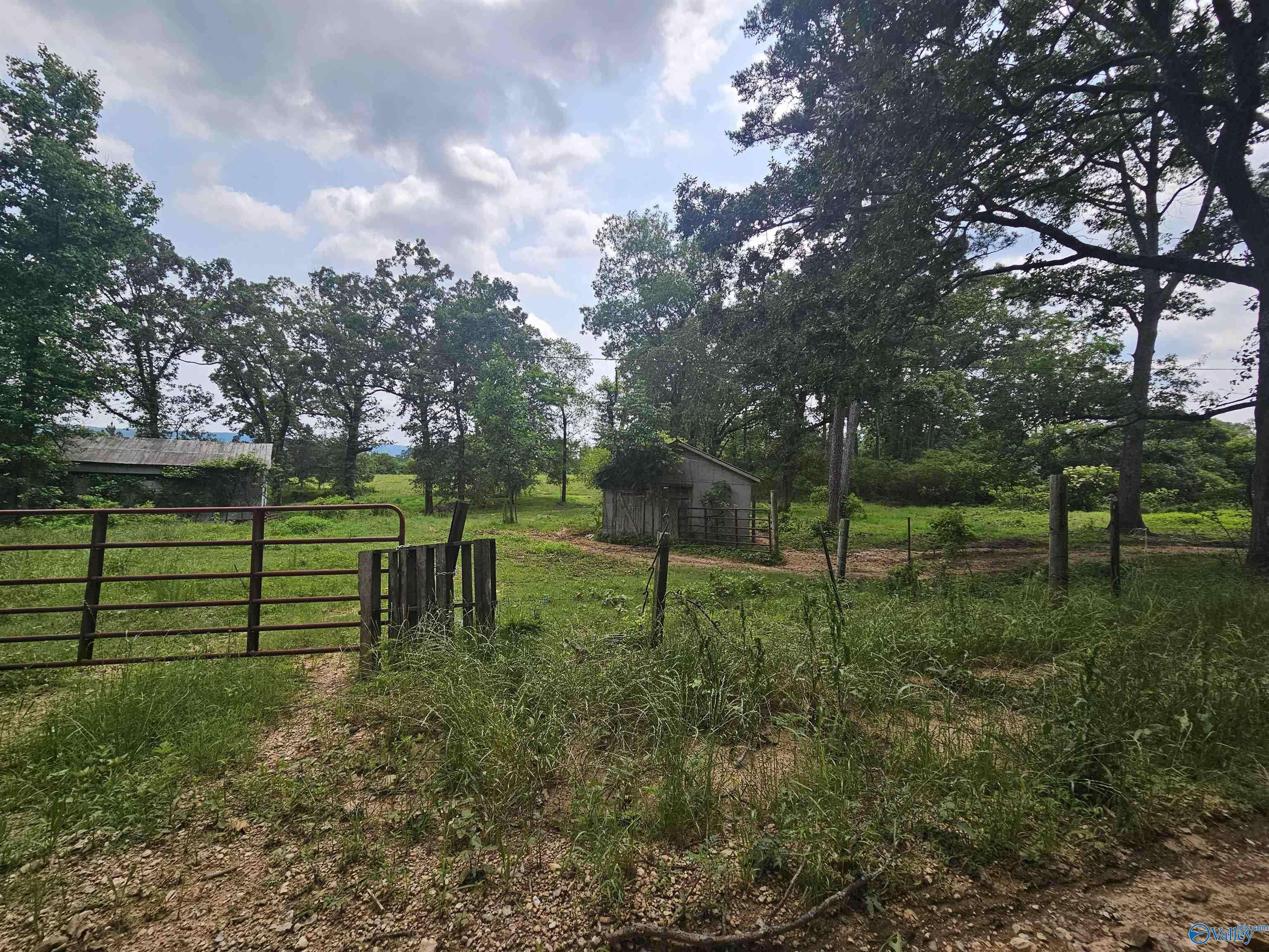1148 County Road 865, Collinsville, AL 35961
