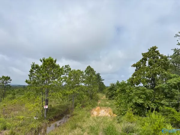Gadsden, AL 35903,Tract 3 Tom Cat Road