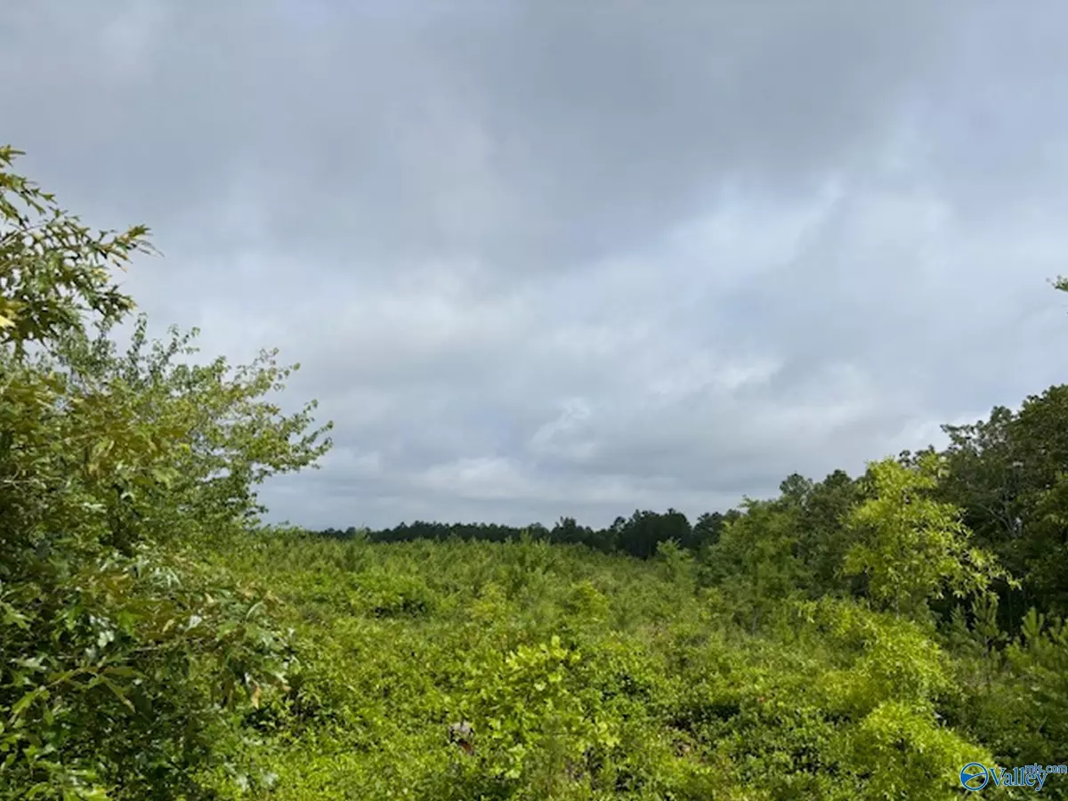 Gadsden, AL 35903,Tract 4 Tom Cat Road