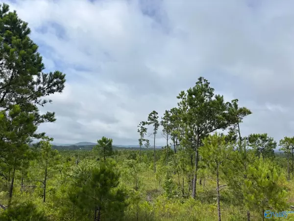 Gadsden, AL 35903,Tract 6 Tom Cat Road