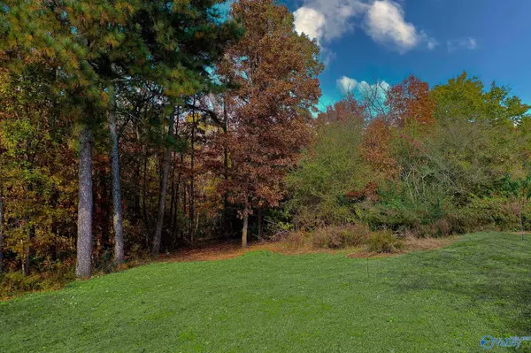 Union Grove, AL 35175,158 Bean Drive