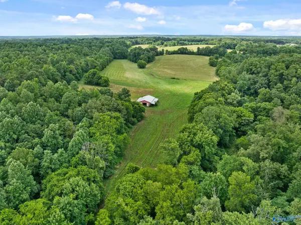 Killen, AL 35645,33091 County Road 8