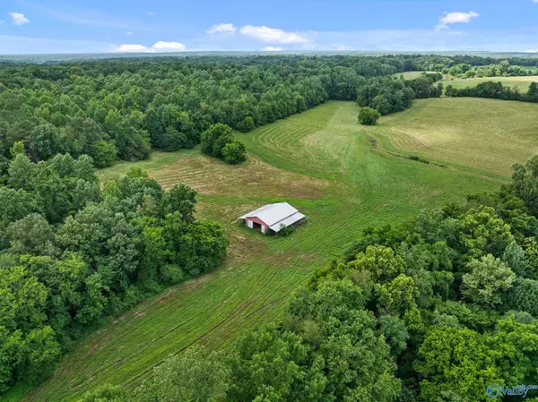 33091 County Road 8, Killen, AL 35645