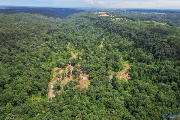 Guntersville, AL 35976,Lot 1 Wyeth Drive