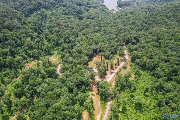 Guntersville, AL 35976,Lot 1 Wyeth Drive