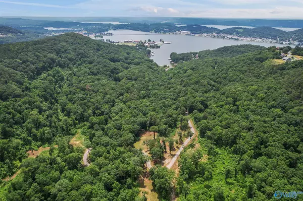 Guntersville, AL 35976,Lot 3 Wyeth Drive