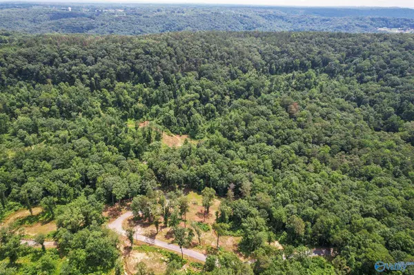 Guntersville, AL 35976,Lot 4 Wyeth Drive