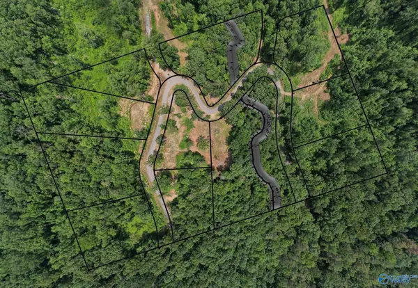 Guntersville, AL 35976,Lot 4 Wyeth Drive