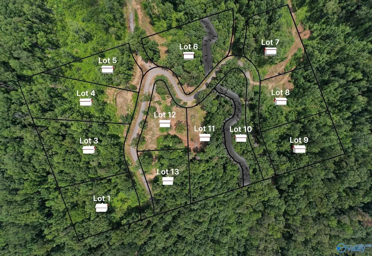 Guntersville, AL 35976,Lot 5 Wyeth Drive