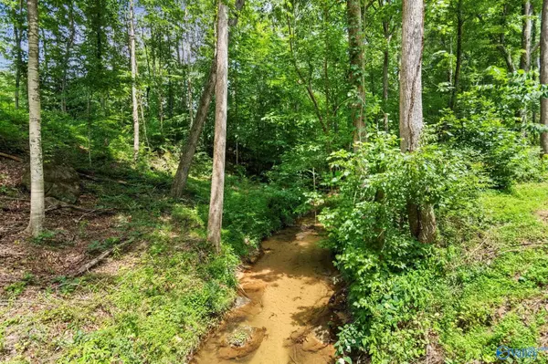 Guntersville, AL 35976,Lot 6 Wyeth Drive