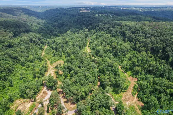 Guntersville, AL 35976,Lot 6 Wyeth Drive