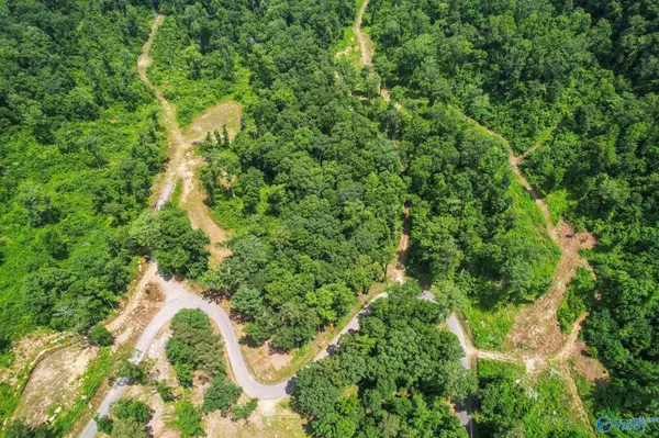 Guntersville, AL 35976,Lot 6 Wyeth Drive