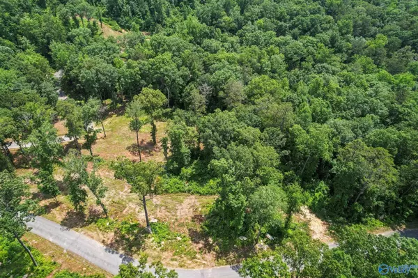 Guntersville, AL 35976,Lot 10 & 11 Wyeth Drive