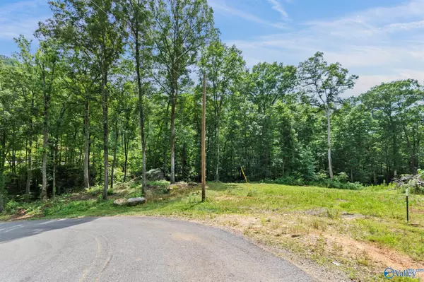 Guntersville, AL 35976,Lot 10 & 11 Wyeth Drive