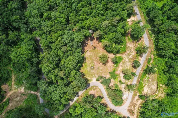 Guntersville, AL 35976,Lot 13 Wyeth Drive