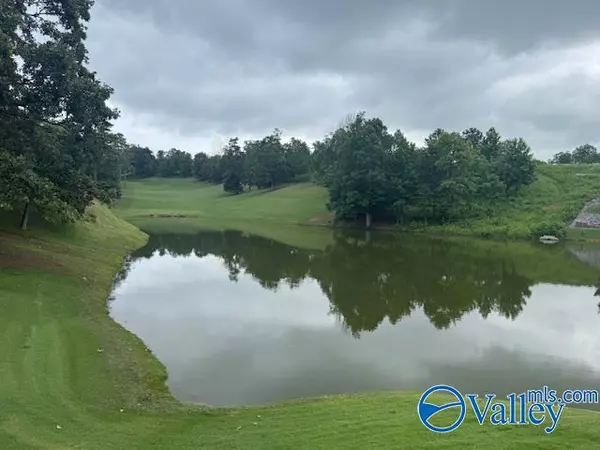 Guntersville, AL 35976,50 Chittom Wood Drive