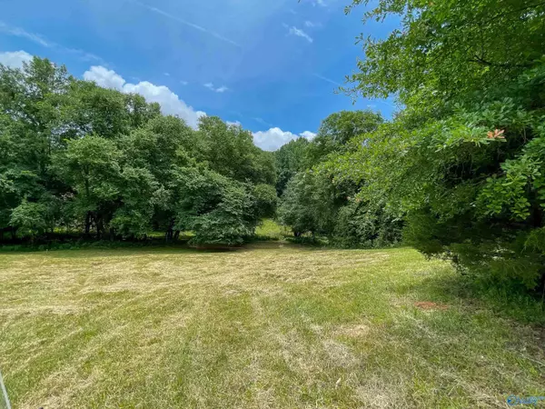 Rogersville, AL 35652,41 Acres Richter Road