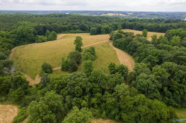 Rogersville, AL 35652,41 Acres Richter Road