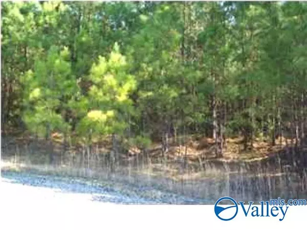 Tract 10 Maple Drive, Boaz, AL 35956