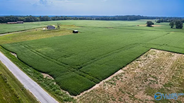 Ardmore, TN 38449,30acres Stevenson Road