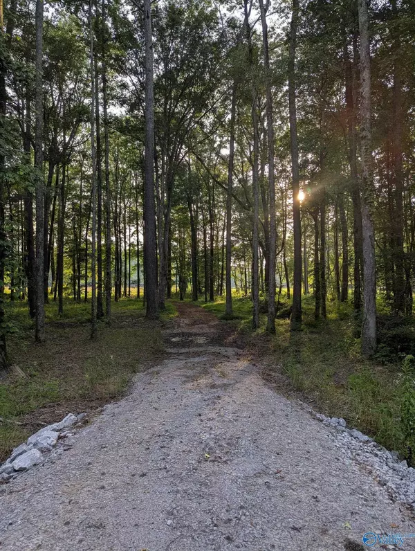 Toney, AL 35773,604 Carter Grove Road