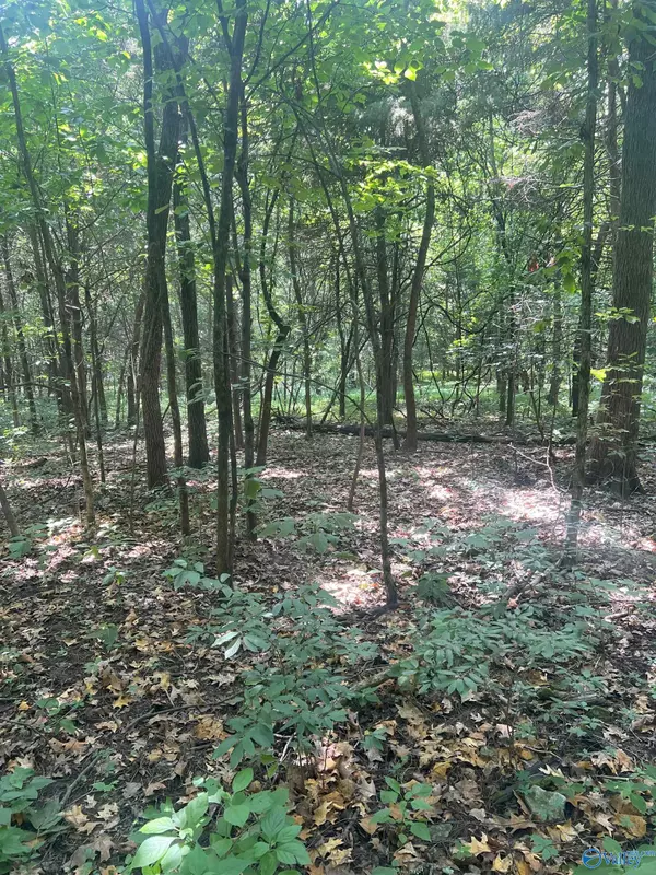 Harvest, AL 35749,1A Burwell Road