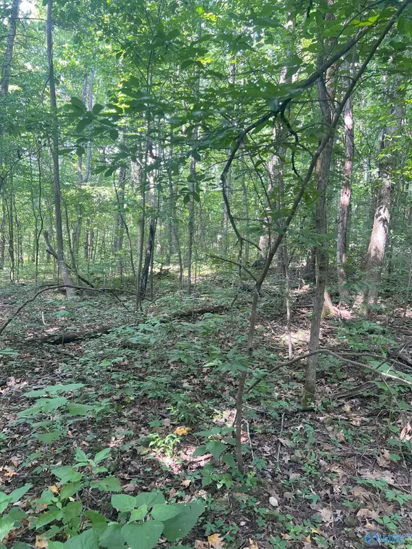 Harvest, AL 35749,1A Burwell Road