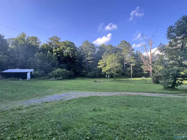 Collinsville, AL 35961,1353 N Valley Avenue