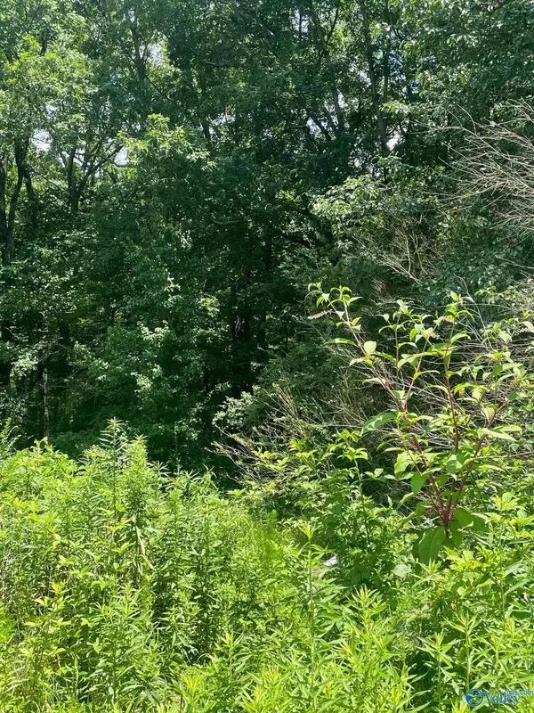 Cullman, AL 35057,8.1AC County Road 1198