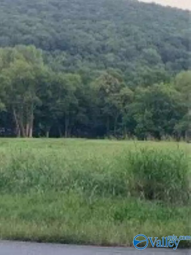 New Market, AL 35761,1144 Upper Hurricane Road